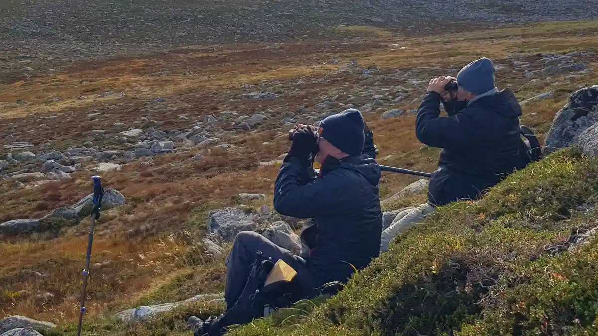 Bird Identification Basics